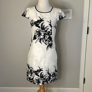 Blumarine Dress